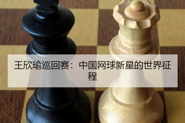 wang-xin-yu-xun-hui-sai-zhong-guo-wang-qiu-xin-xing-de-shi-jie-zheng-cheng-2-814.jpg